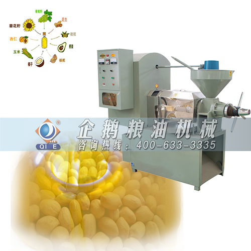 小型榨油機(jī)設(shè)備